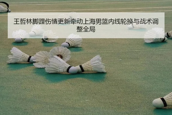 王哲林脚踝伤情更新牵动上海男篮内线轮换与战术调整全局